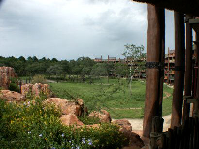 The Savanna