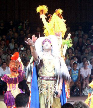 Lion King Leader