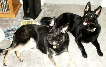 Brandy and Onyx