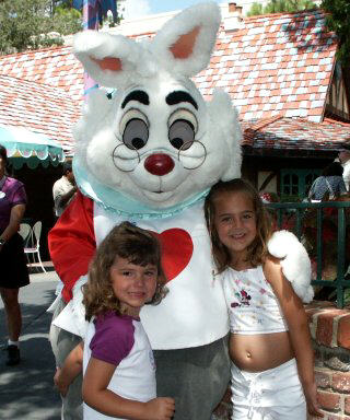 White Rabbit