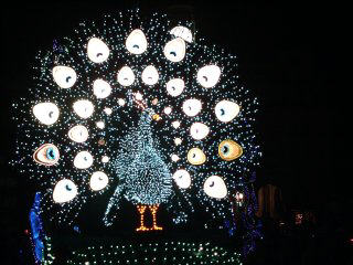 Peacock