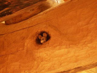 VWL Hidden Mickey