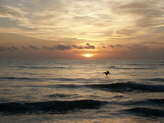 Sunrise