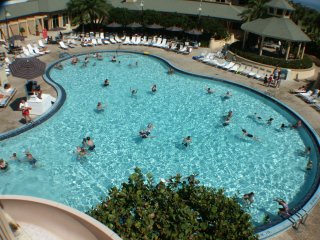 Mickey Shaped pool