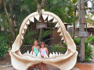 Shark Teeth