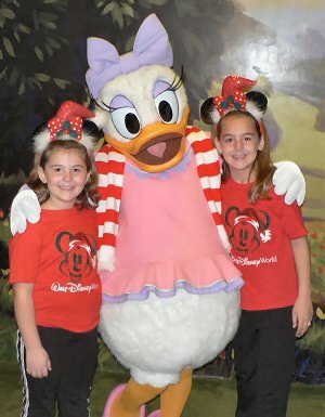 MVMCP - Holiday Daisy