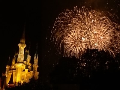 Wishes